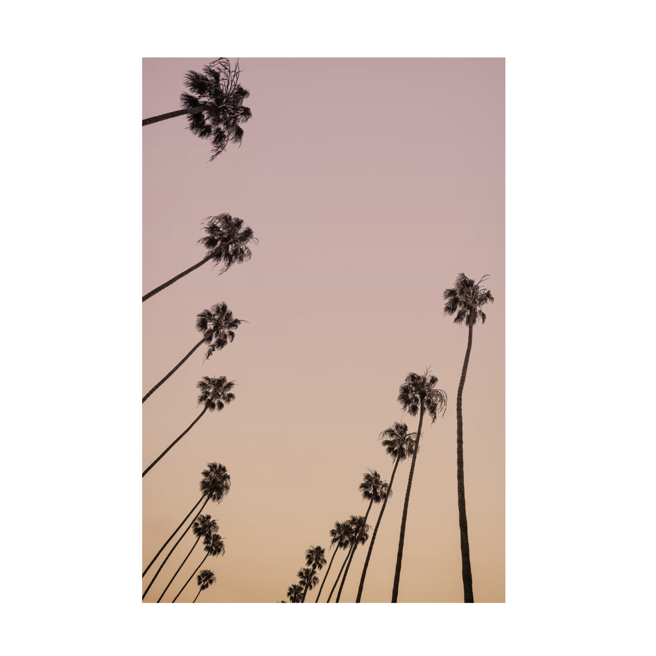 Trademark Fine Art Shot by Clint Cali Cathedrals 05 Canvas Wall Art