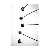 Trademark Fine Art Shot by Clint Cali Cathedrals 06 Canvas Wall Art