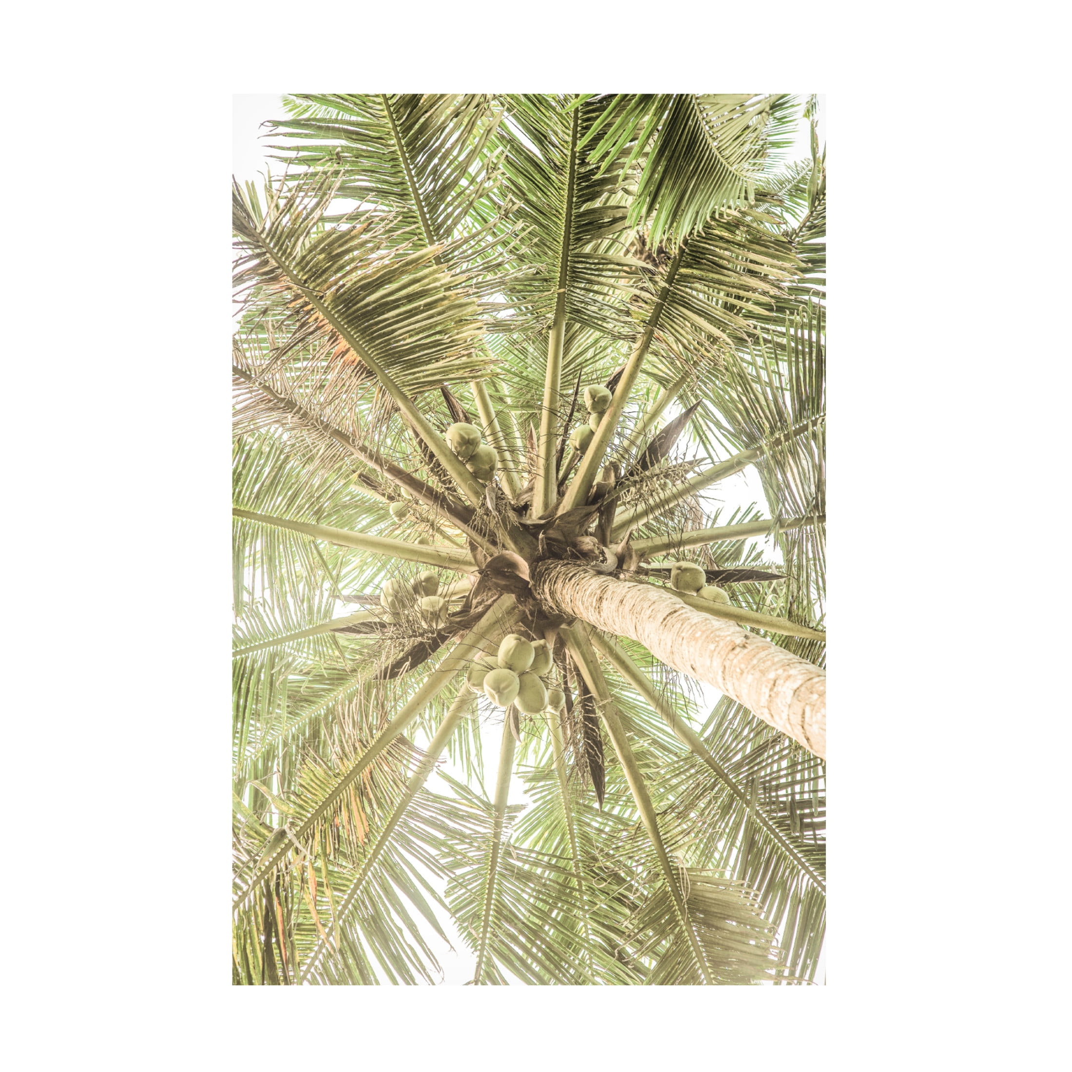 Trademark Fine Art Shot by Clint Coco Canvas Wall Art