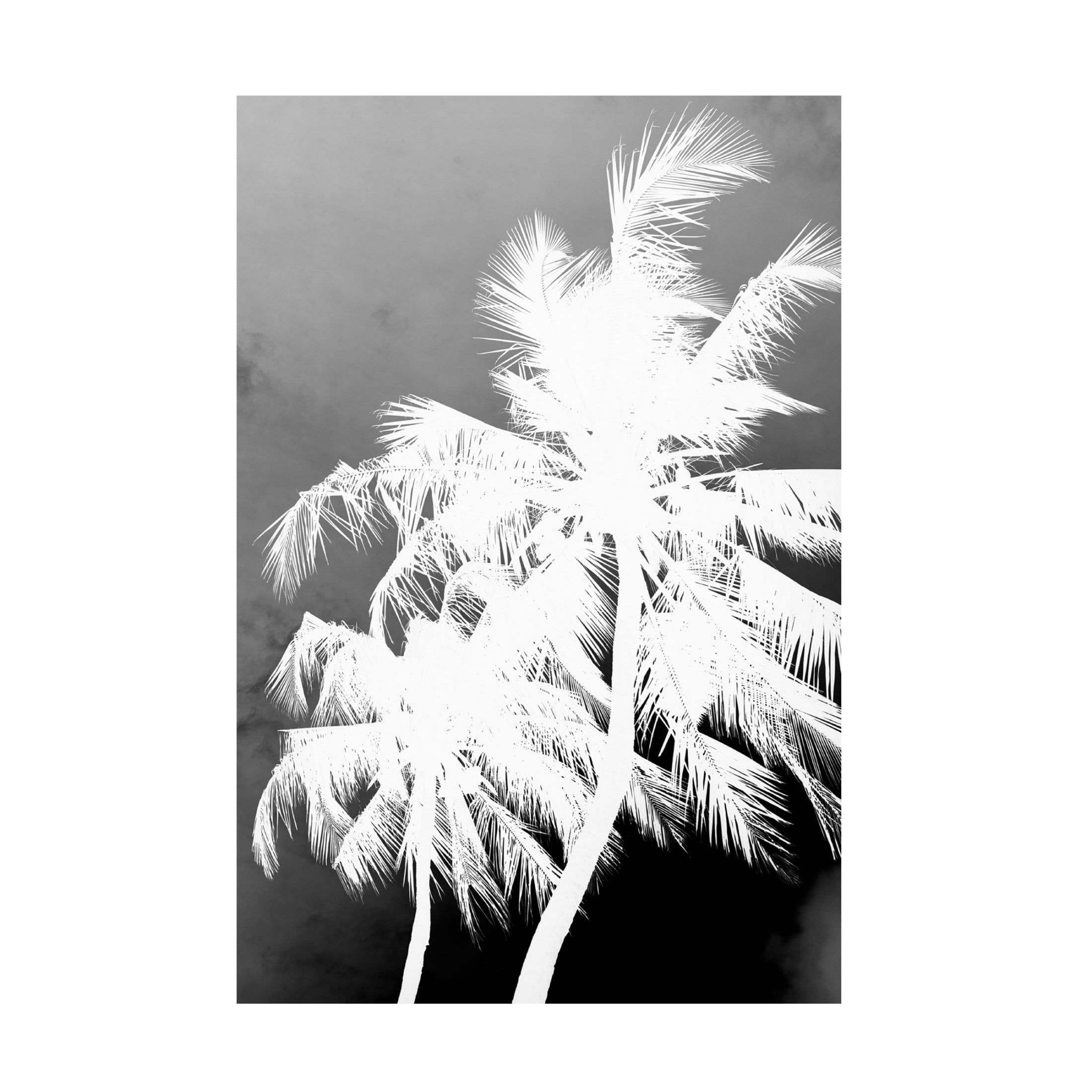 Trademark Fine Art Shot by Clint Coco Island No1 Canvas Wall Art
