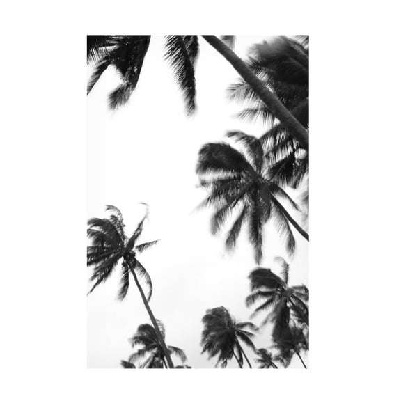 Trademark Fine Art Shot by Clint Coco Island No3 Canvas Wall Art