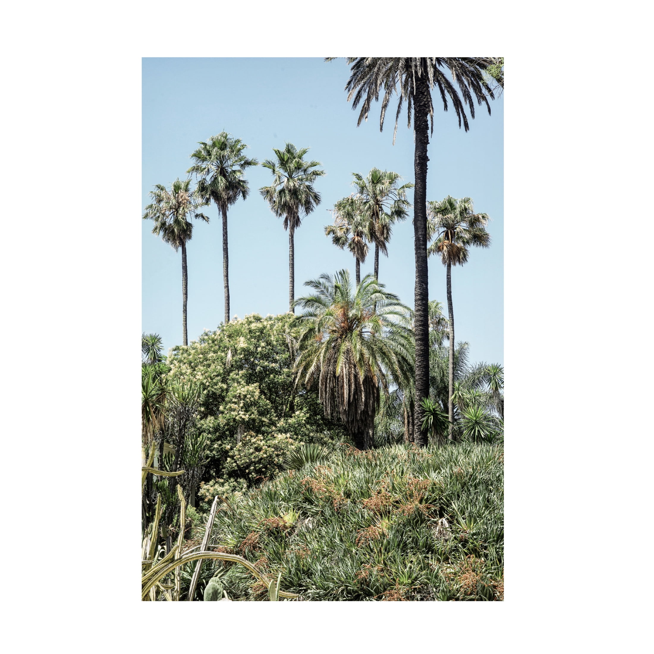 Trademark Fine Art Shot by Clint Collectors Garden Canvas Wall Art