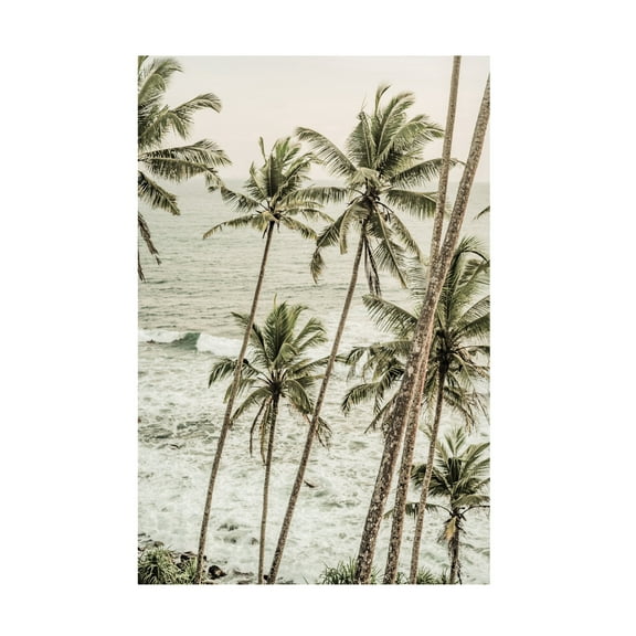 Trademark Fine Art Shot by Clint Deep Dream Canvas Wall Art