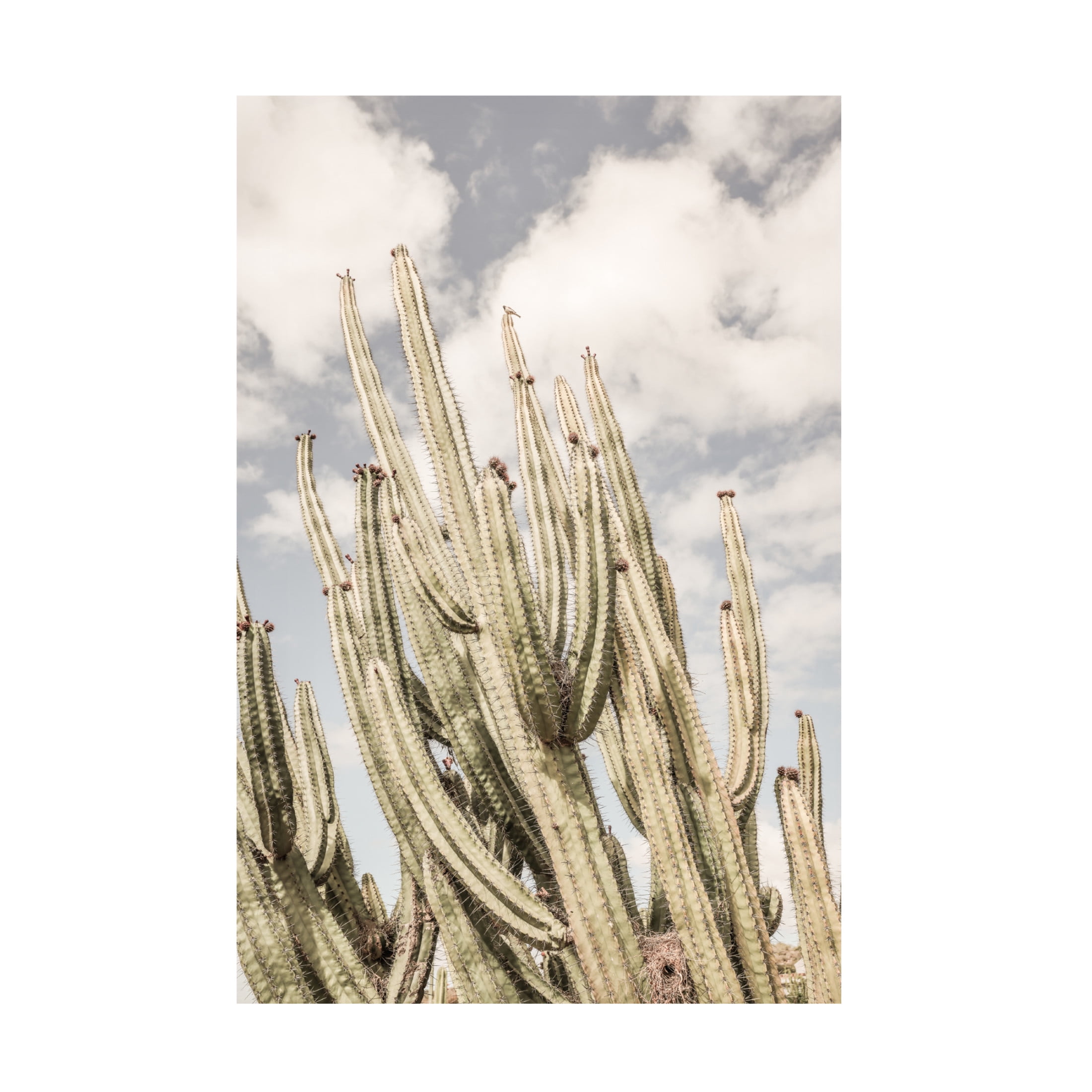 Trademark Fine Art Shot by Clint Desert Cathedral Canvas Wall Art
