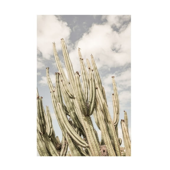 Trademark Fine Art Shot by Clint Desert Cathedral Canvas Wall Art