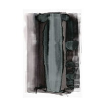 Trademark Fine Art Shot by Clint Disintegration Canvas Wall Art