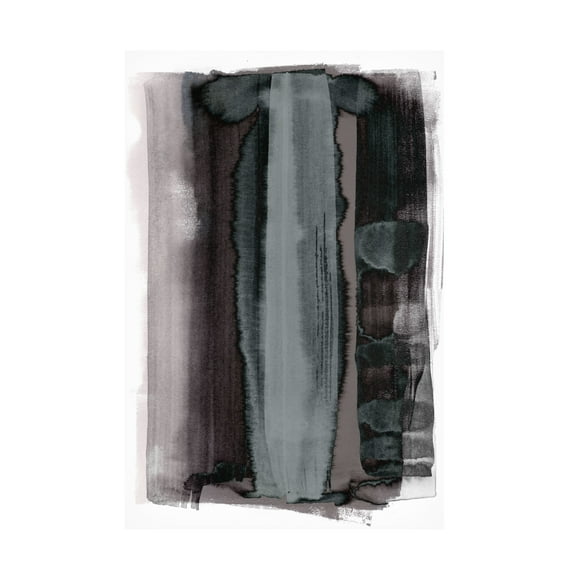 Trademark Fine Art Shot by Clint Disintegration Canvas Wall Art