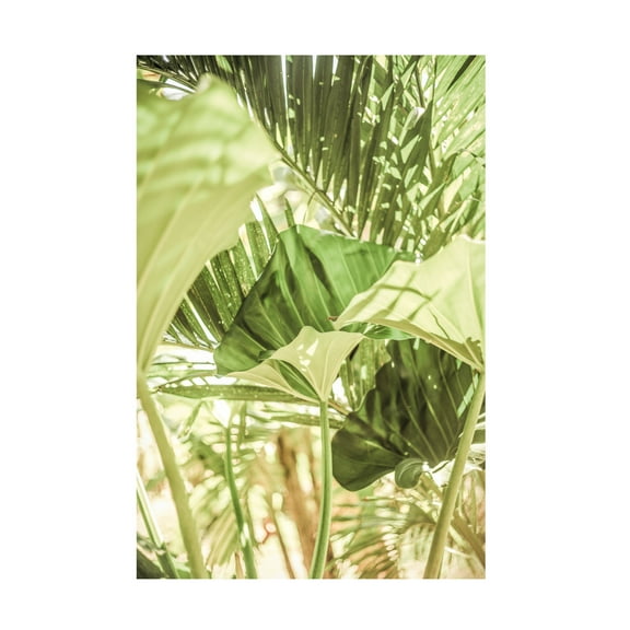 Trademark Fine Art Shot by Clint Garden Salad Canvas Wall Art