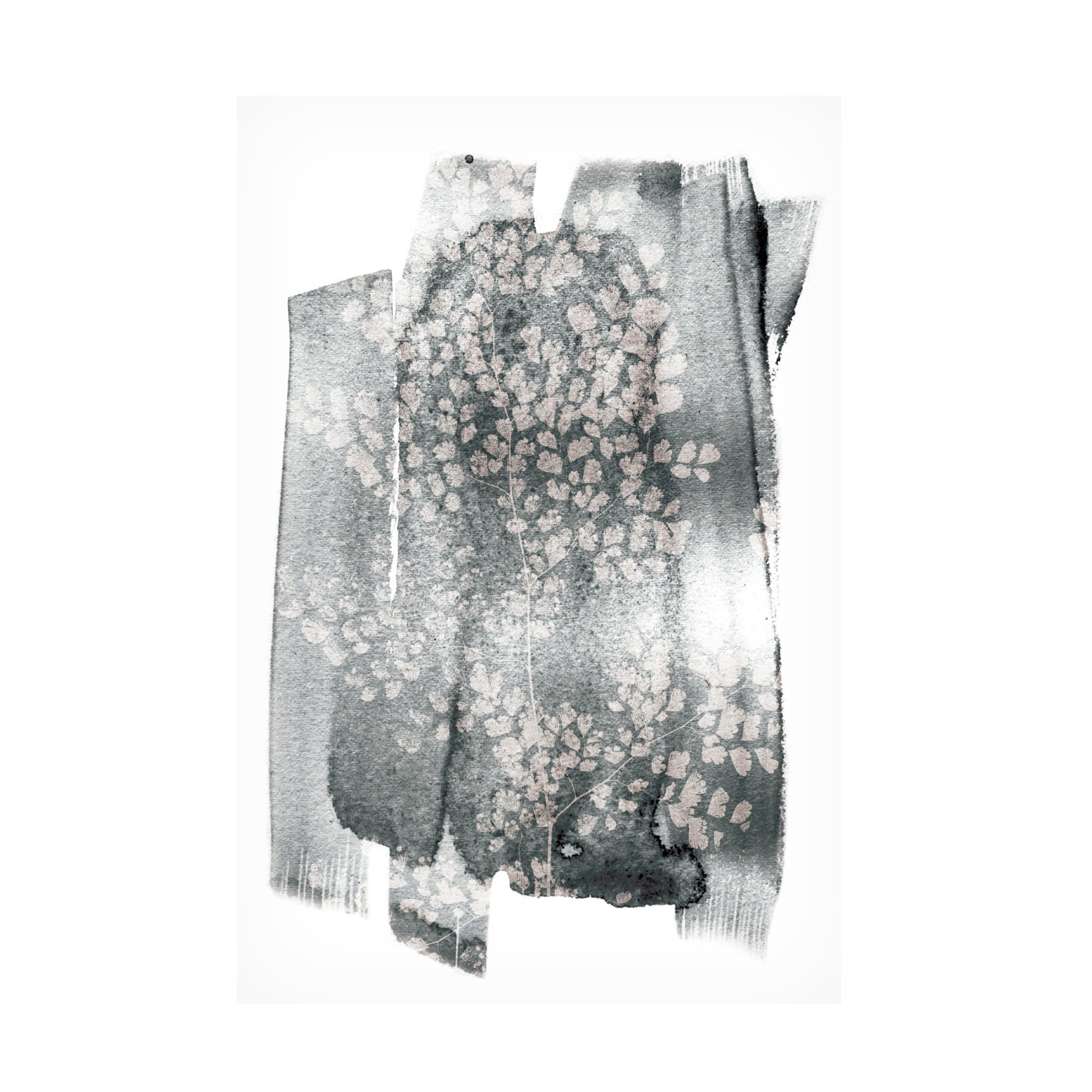 Trademark Fine Art Shot by Clint Imperfect Fern Canvas Wall Art