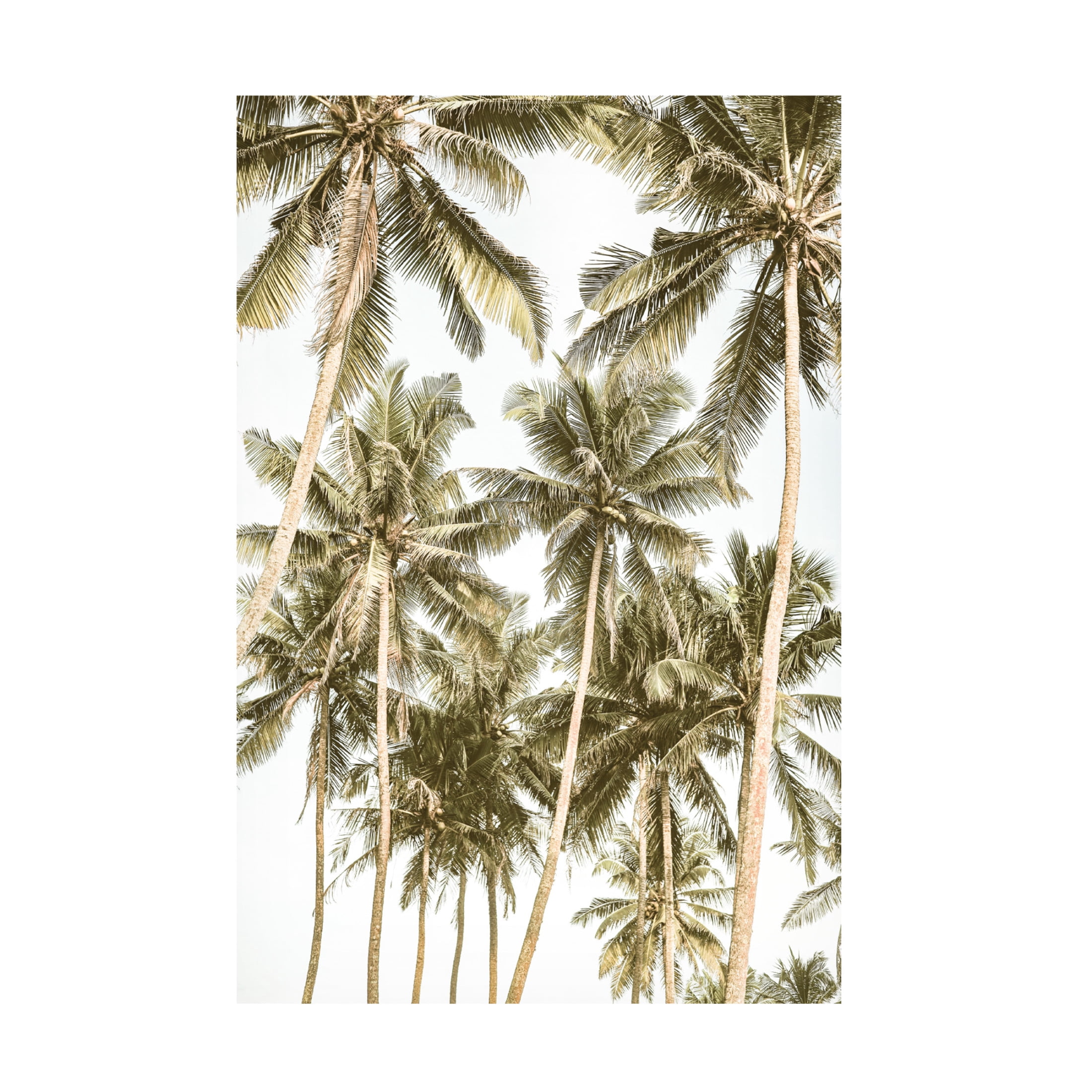 Trademark Fine Art Shot by Clint Island Bliss Canvas Wall Art