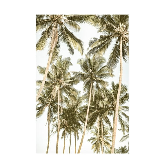 Trademark Fine Art Shot by Clint Island Bliss Canvas Wall Art