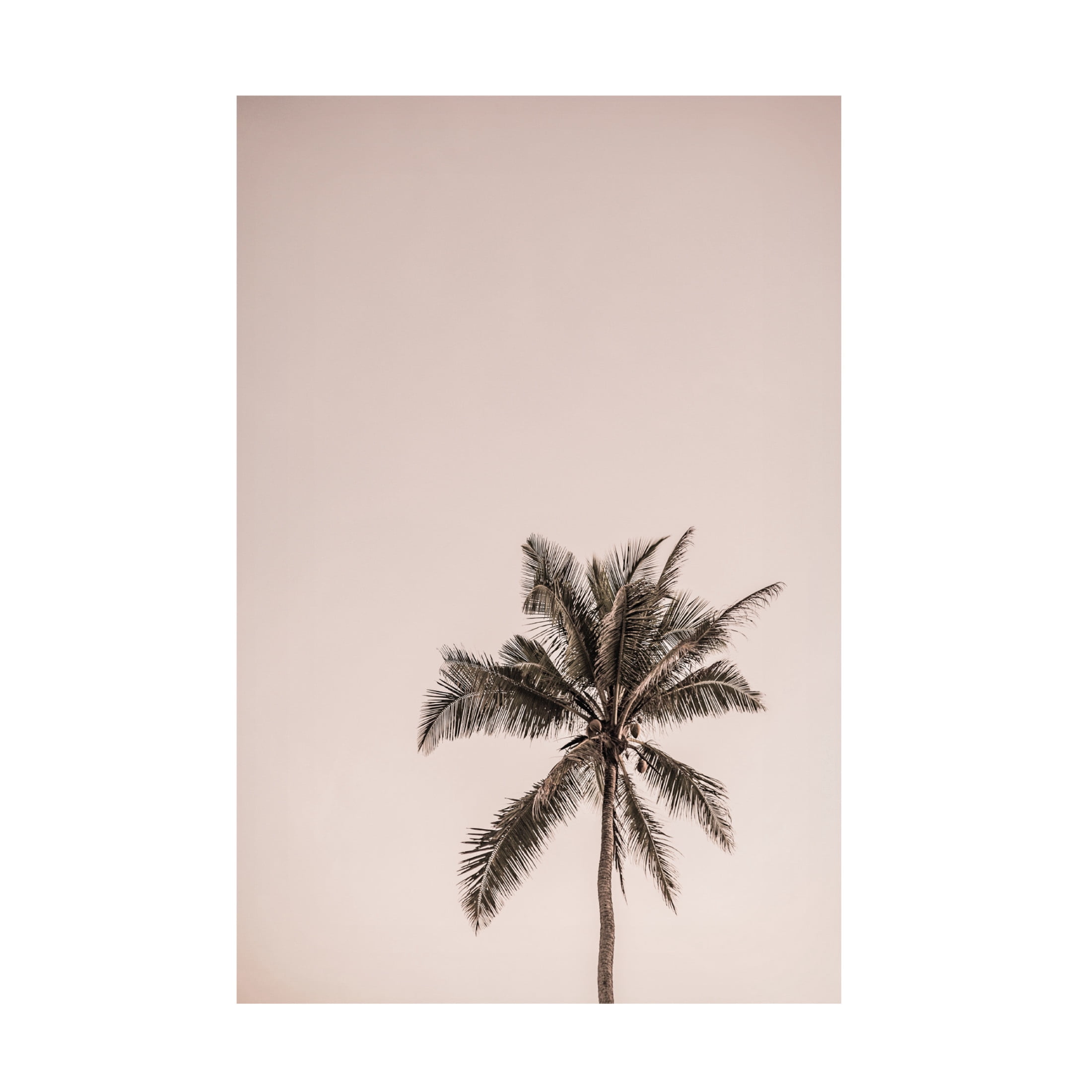 Trademark Fine Art Shot by Clint Joy Canvas Wall Art