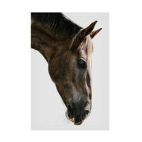 Trademark Fine Art Shot by Clint Kalimazoo Canvas Wall Art