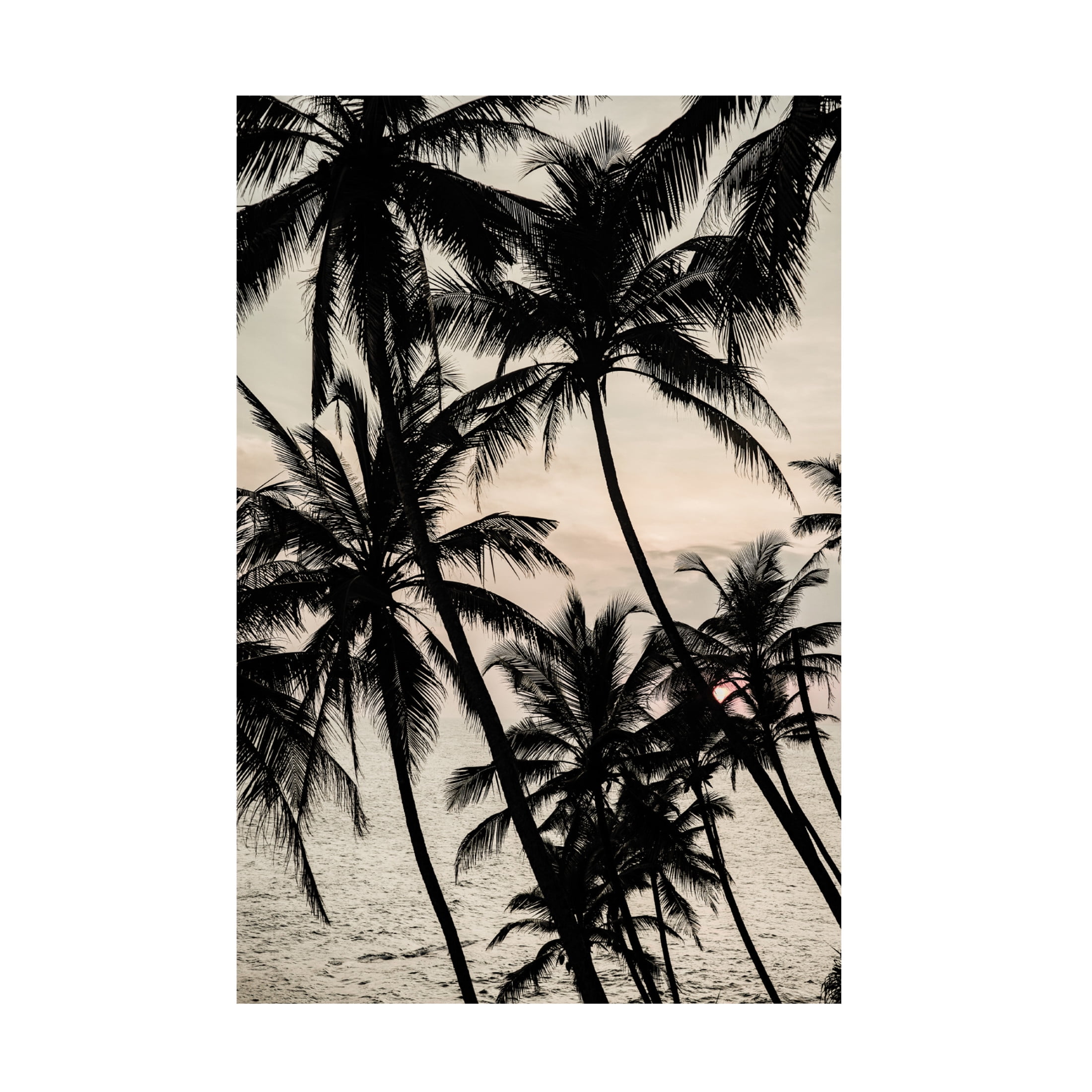 Trademark Fine Art Shot by Clint Light My Fire Canvas Wall Art
