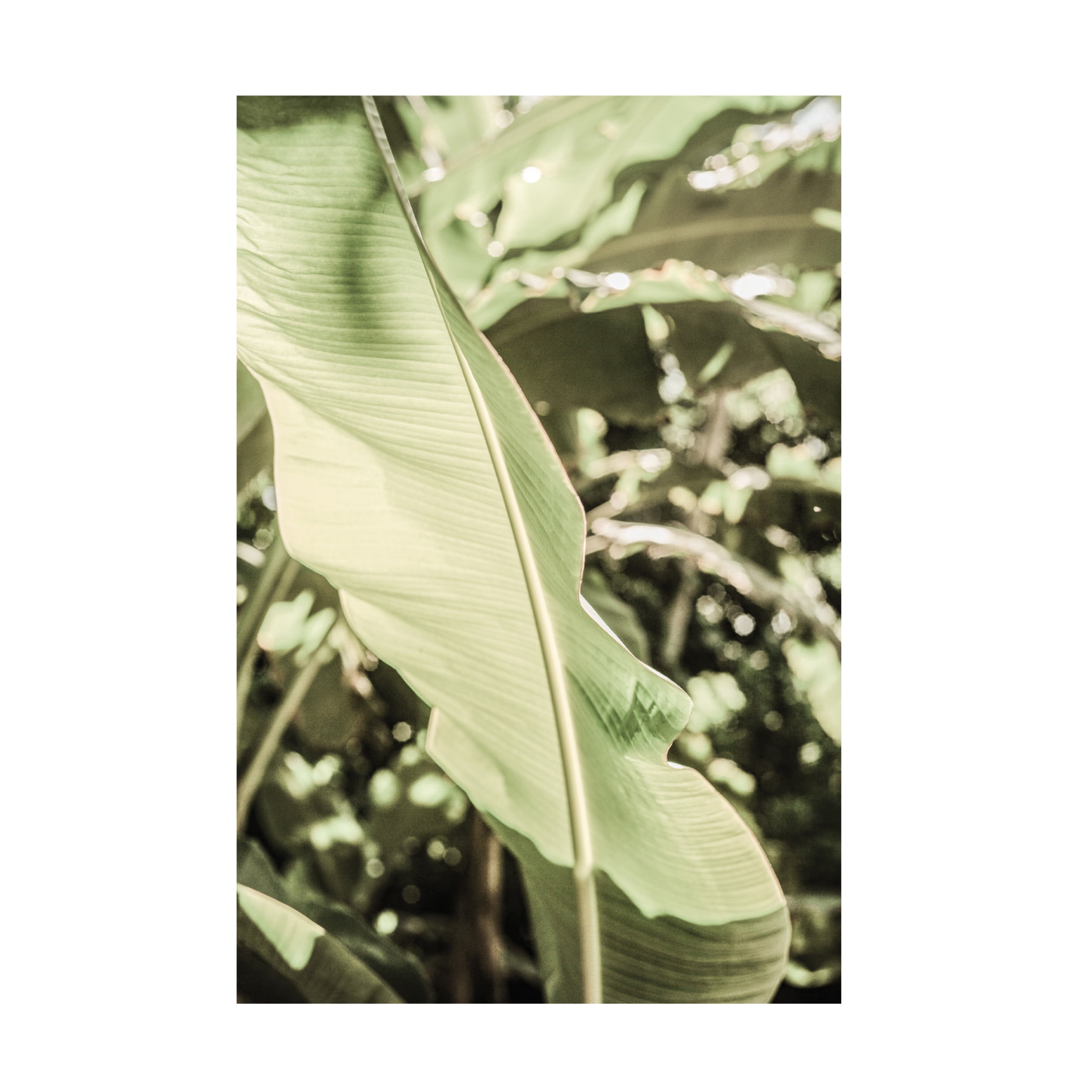 Trademark Fine Art Shot by Clint Lime Lightning Canvas Wall Art