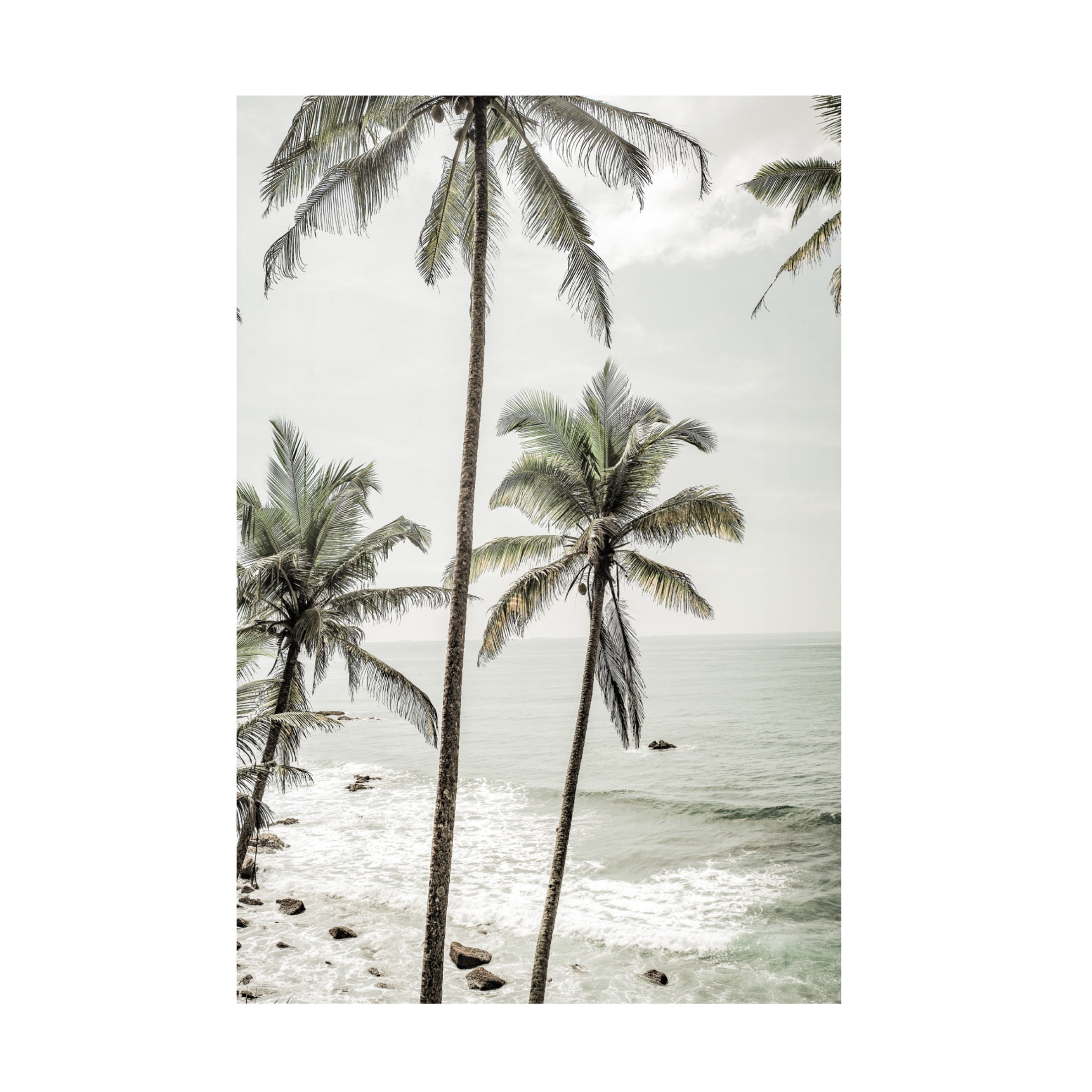 Trademark Fine Art Shot by Clint Love Her Madly Canvas Wall Art