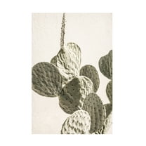 Trademark Fine Art Shot by Clint Mexi Catus 02 Canvas Wall Art