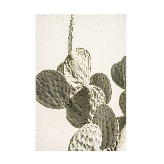 Trademark Fine Art Shot by Clint Mexi Catus 02 Canvas Wall Art