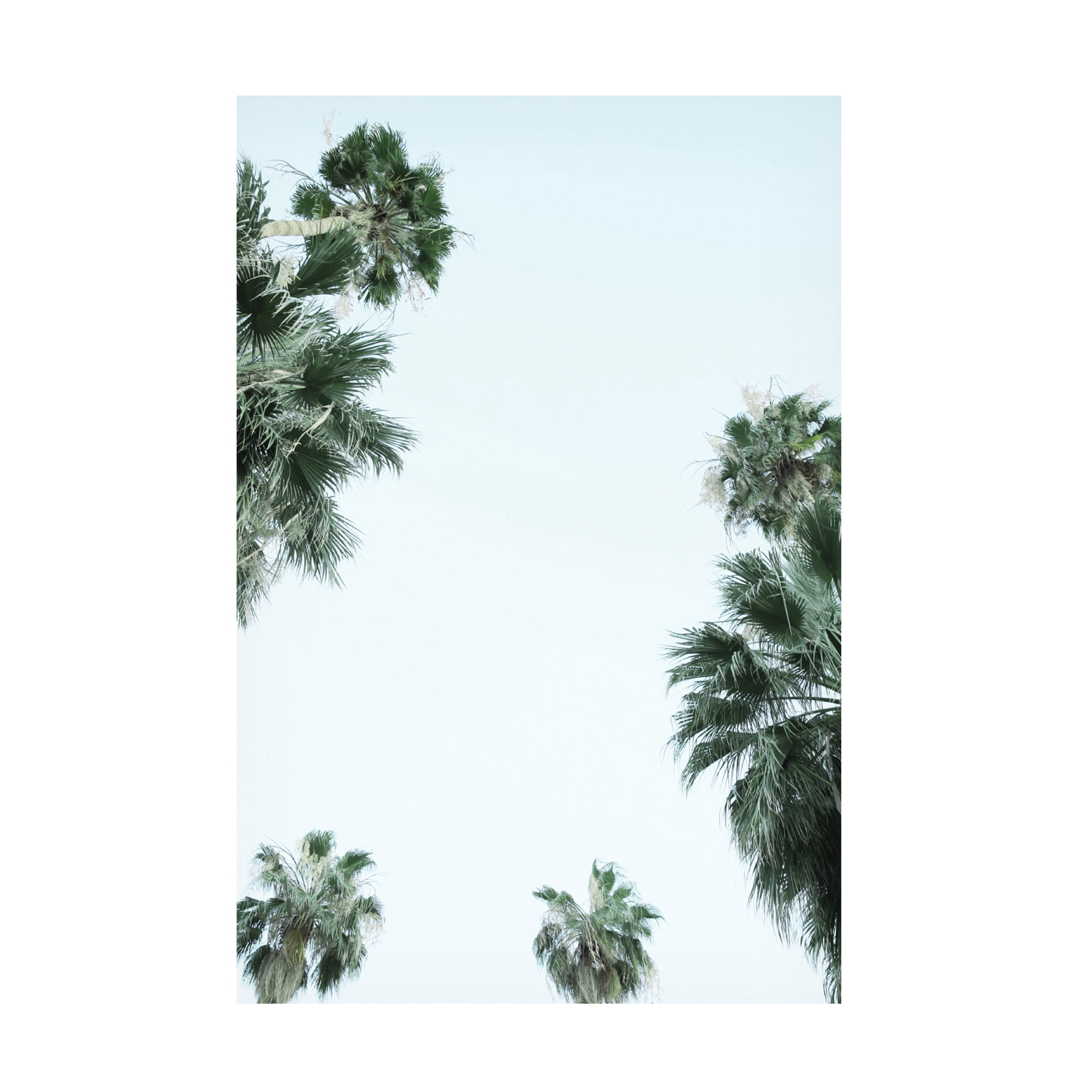 Trademark Fine Art Shot by Clint My Mint Moment 02 Canvas Wall Art