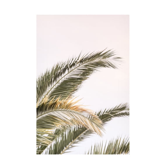 Trademark Fine Art Shot by Clint Oasis Palm 03 Canvas Wall Art