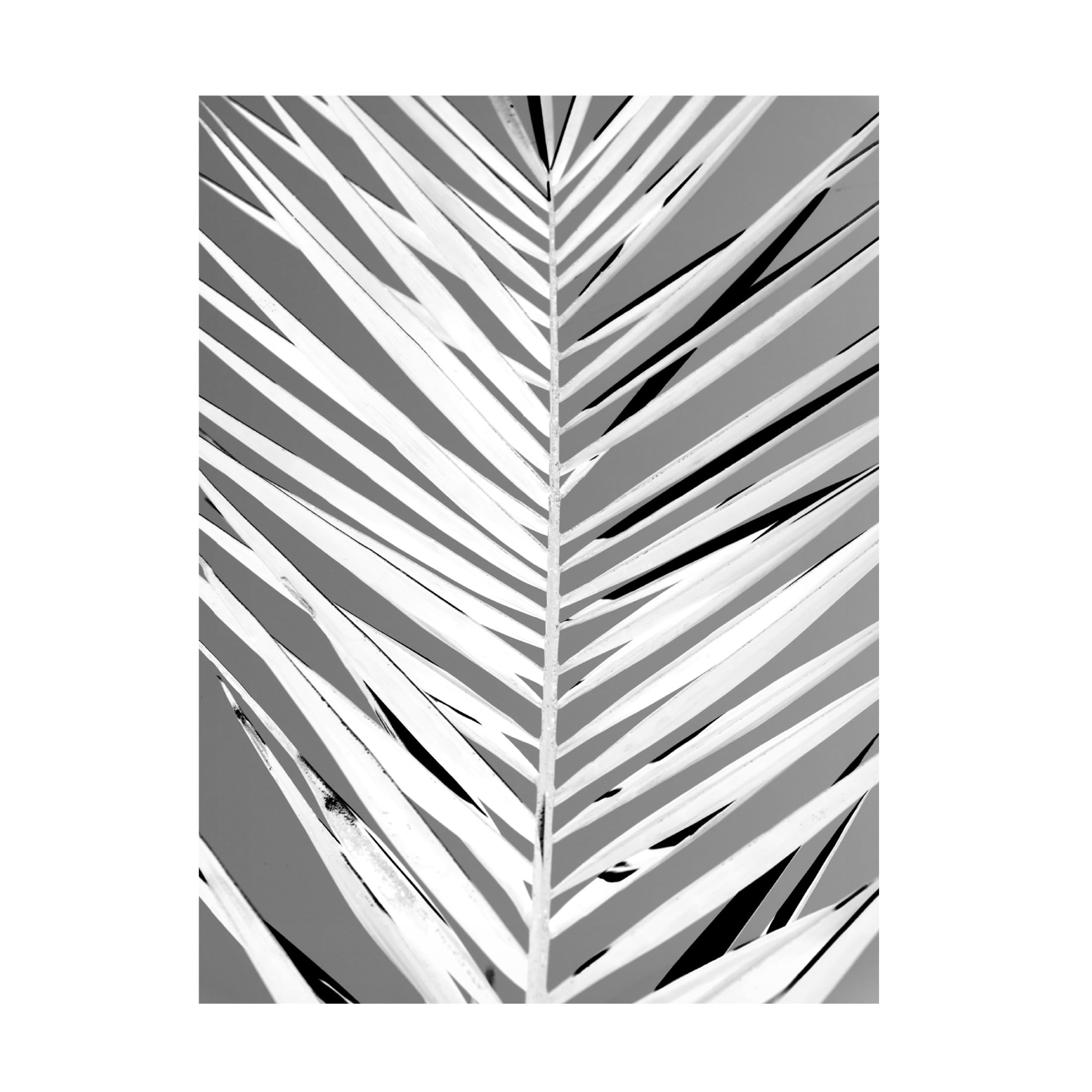 Trademark Fine Art Shot by Clint Patroon Canvas Wall Art