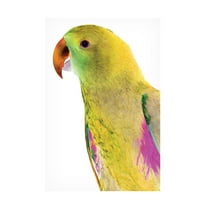 Trademark Fine Art Shot by Clint Polly Canvas Wall Art