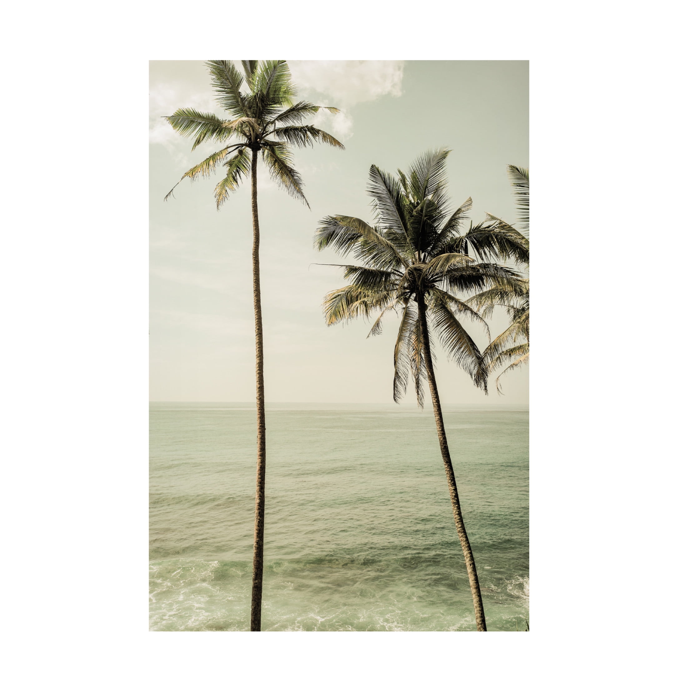 Trademark Fine Art Shot by Clint Sea Breeze Canvas Wall Art