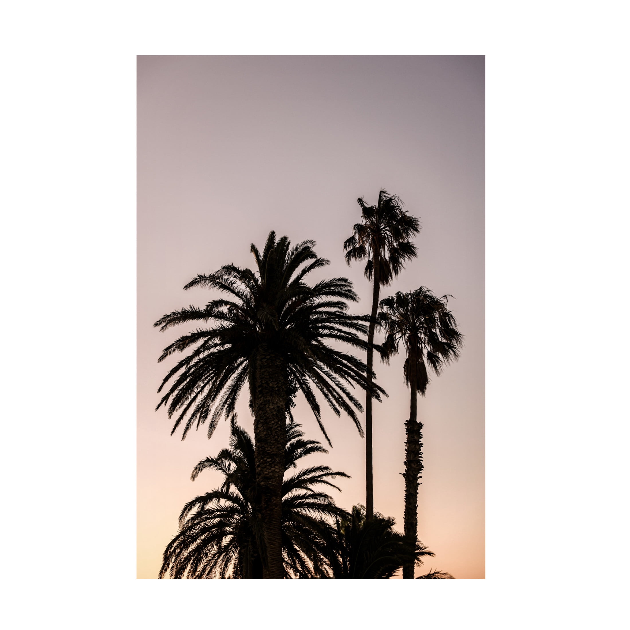 Trademark Fine Art Shot by Clint Sea Point Canvas Wall Art