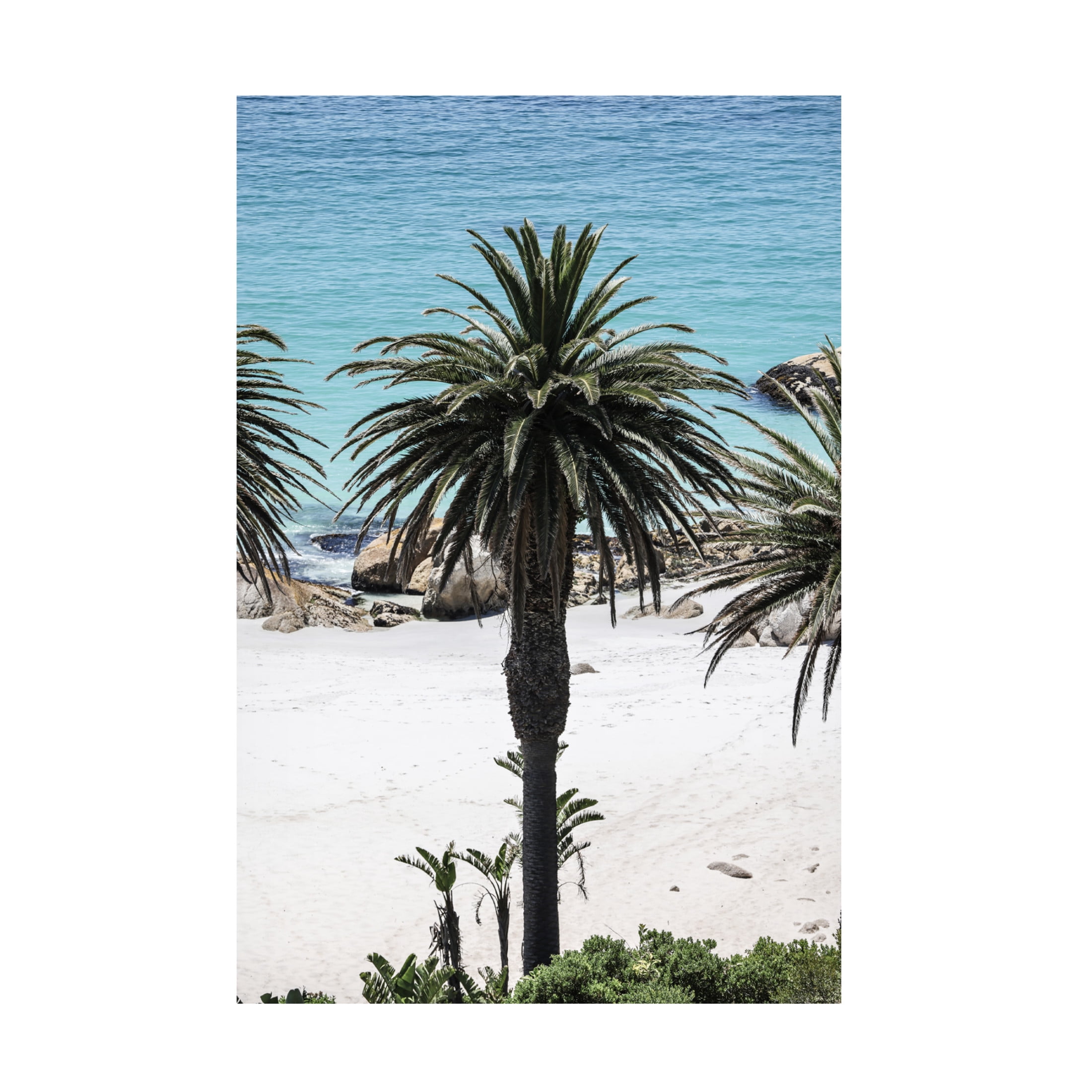 Trademark Fine Art Shot by Clint Secret Sands Canvas Wall Art