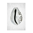 thumbnail image 1 of Trademark Fine Art Shot by Clint Spring Tide 01 Canvas Wall Art, 1 of 4