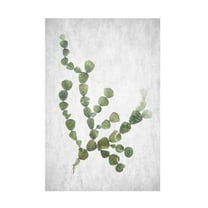 Trademark Fine Art Shot by Clint Spring Tide 02 Canvas Wall Art