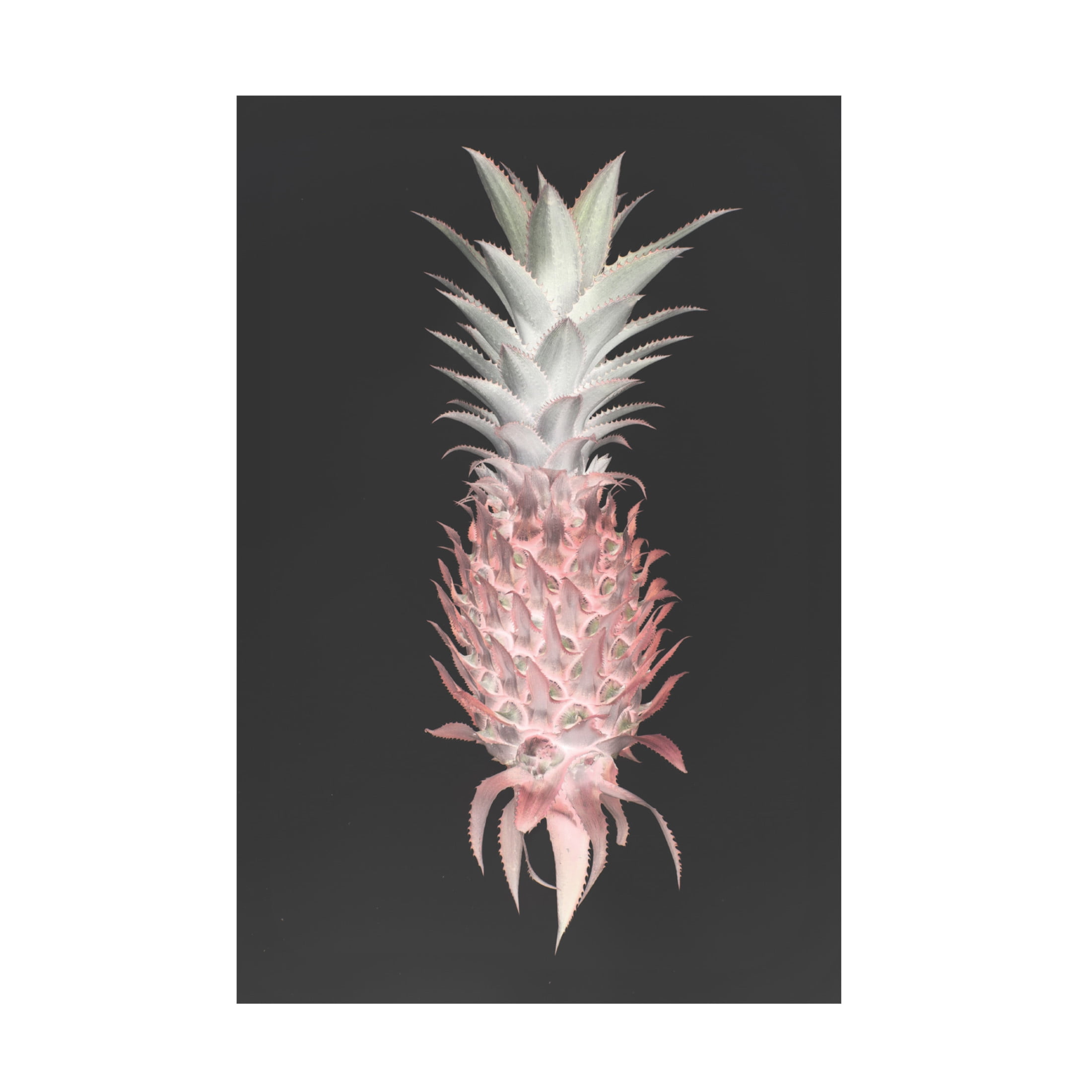 Trademark Fine Art Shot by Clint Strawberry Pine Canvas Wall Art