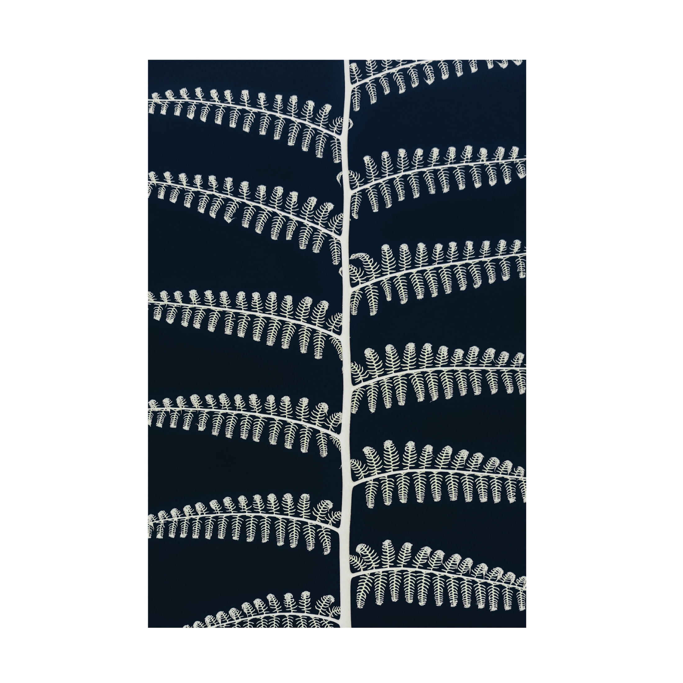 Trademark Fine Art Shot by Clint Symetry Canvas Wall Art