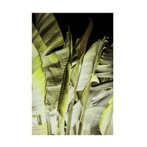 Trademark Fine Art Shot by Clint Traveller's Palm Canvas Wall Art