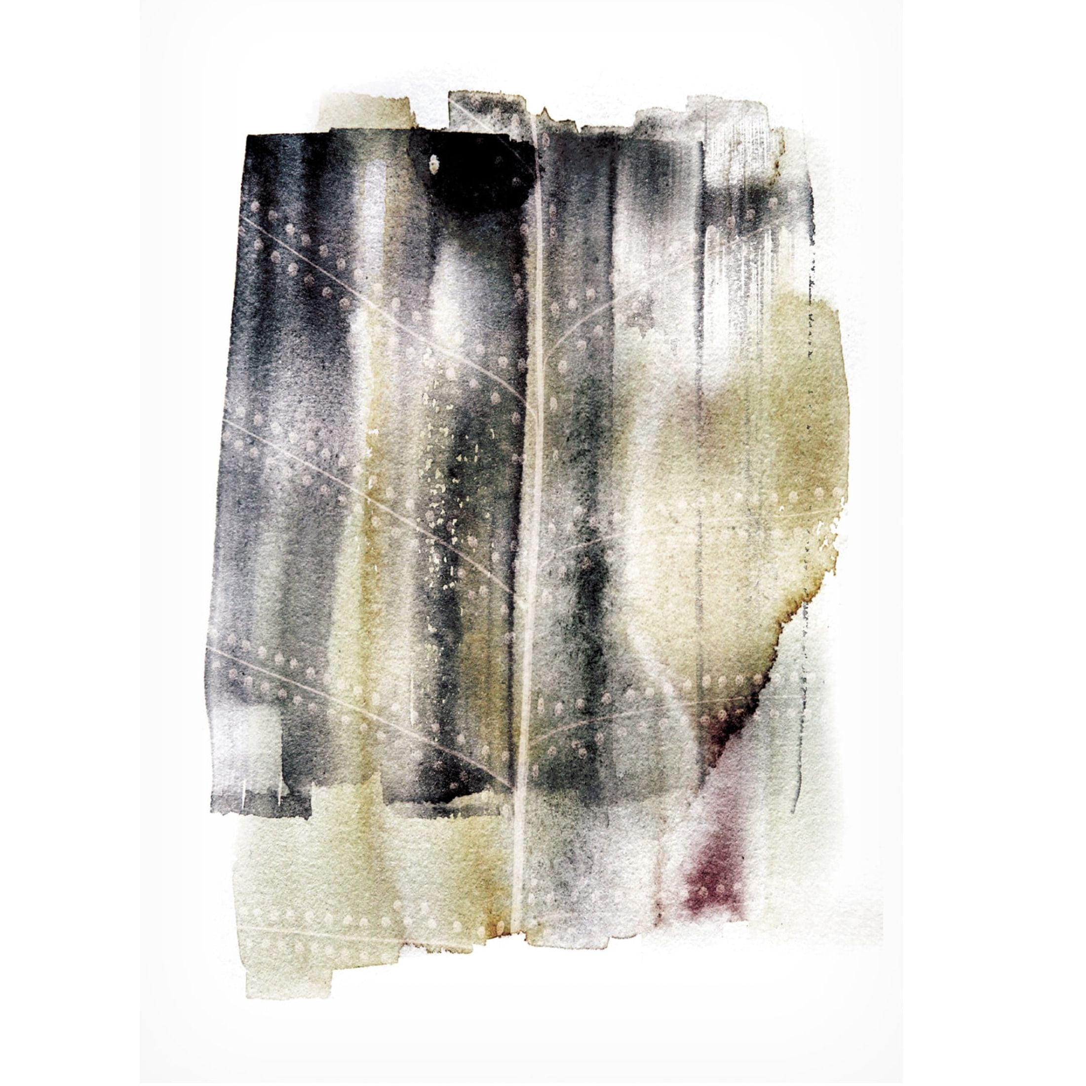 Trademark Fine Art Shot by Clint Whisper Fern Canvas Wall Art