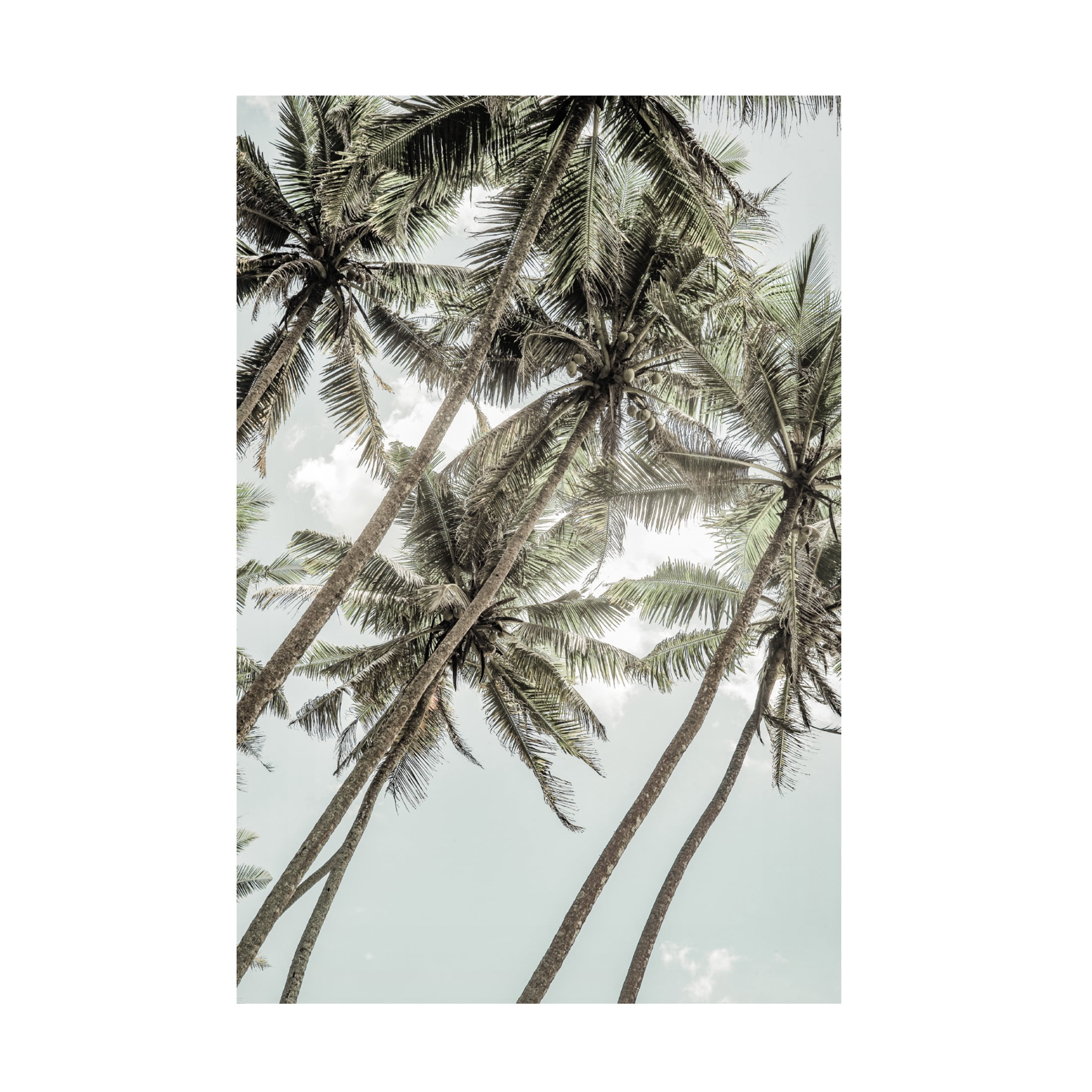 Trademark Fine Art Shot by Clint Wild Love Canvas Wall Art