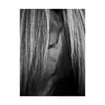 thumbnail image 1 of Trademark Fine Art 'Shy Crop' Canvas Art by Aledanda, 1 of 3