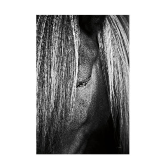 Trademark Fine Art 'Shy Eye' Canvas Art by Aledanda