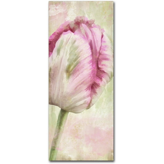 Trademark Fine Art "Shy II" Canvas Art by Color Bakery