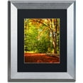 thumbnail image 1 of Trademark Fine Art "Sideways Dreaming" Canvas Art by Philippe Sainte-Laudy Black Matte, Silver Frame, 1 of 1
