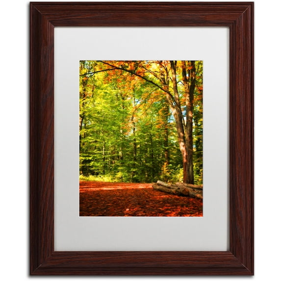 Trademark Fine Art "Sideways Dreaming" Canvas Art by Philippe Sainte-Laudy White Matte, Wood Frame