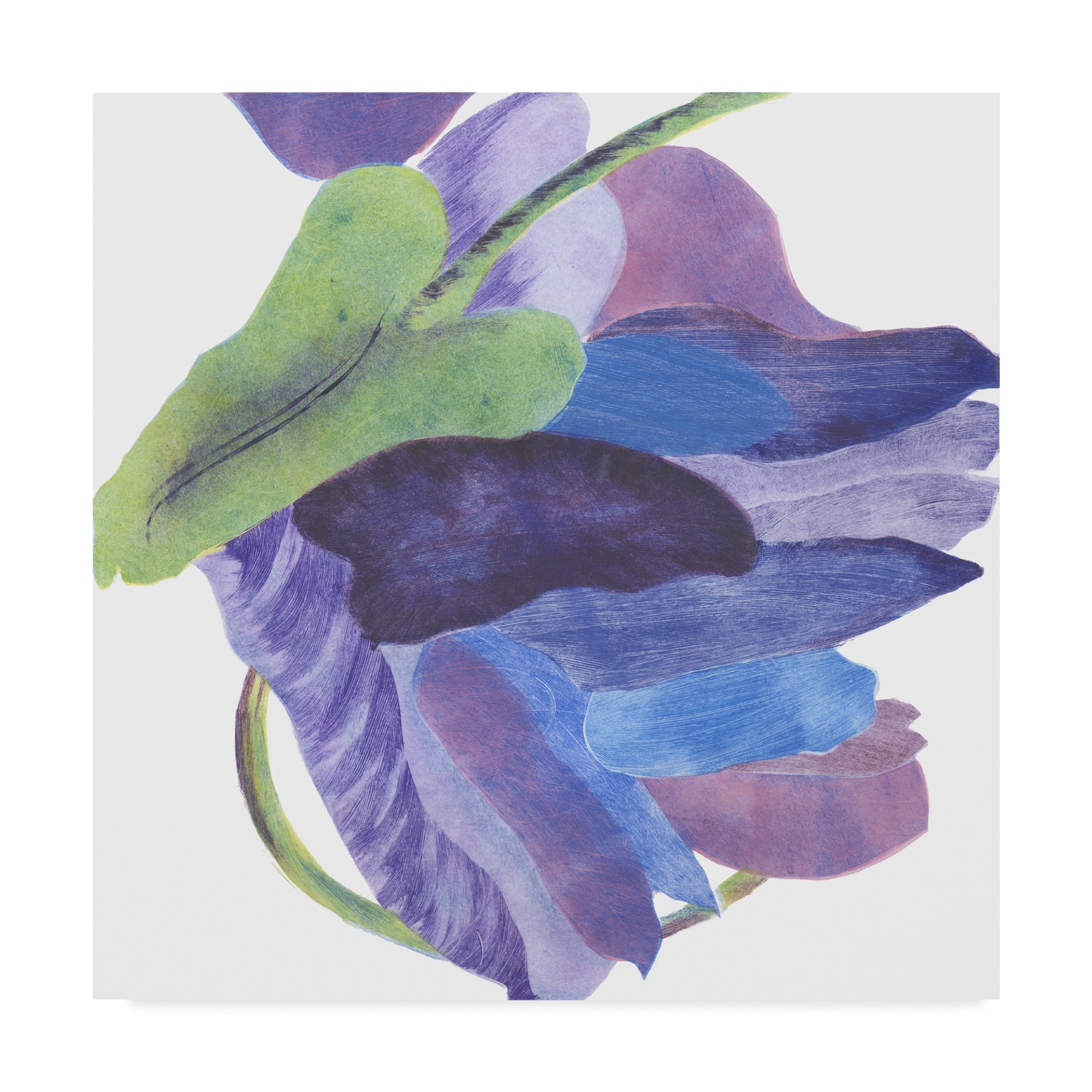 Trademark Fine Art 'Sideways Indigo II' Canvas Art by Carolyn Roth