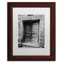 Trademark Fine Art "Siena Door" Canvas Art by Moises Levy White Matte, Wood Frame