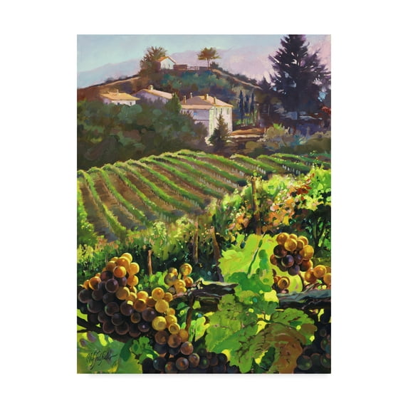 Trademark Fine Art 'Siena Harvest' Canvas Art by Clif Hadfield