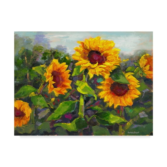 Trademark Fine Art 'Sierra Awakenings IV' Canvas Art by Nanette Oleson