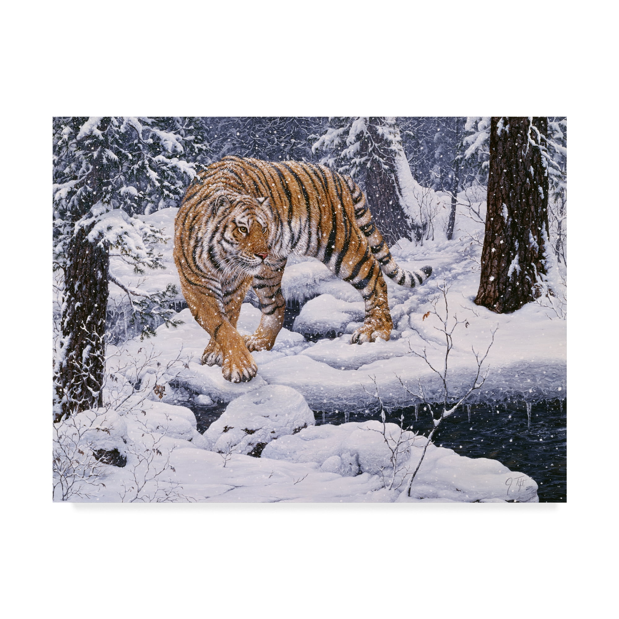 Trademark Fine Art 'Silent Hunter Siberian Tiger' Canvas Art by Jeff Tift