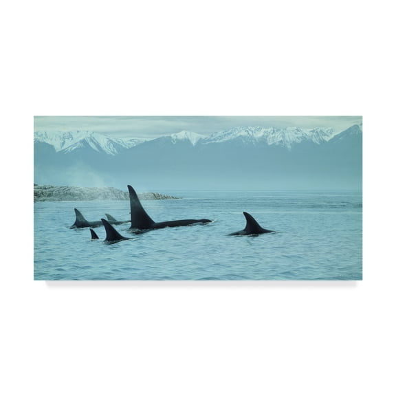 Trademark Fine Art 'Silent Passage Orcas' Canvas Art by Ron Parker