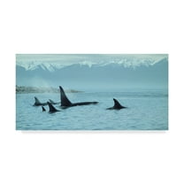 Trademark Fine Art 'Silent Passage Orcas' Canvas Art by Ron Parker