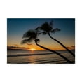 thumbnail image 1 of Trademark Fine Art 'Silhouette of the Tropics' Canvas Art by Pierre Leclerc, 1 of 3