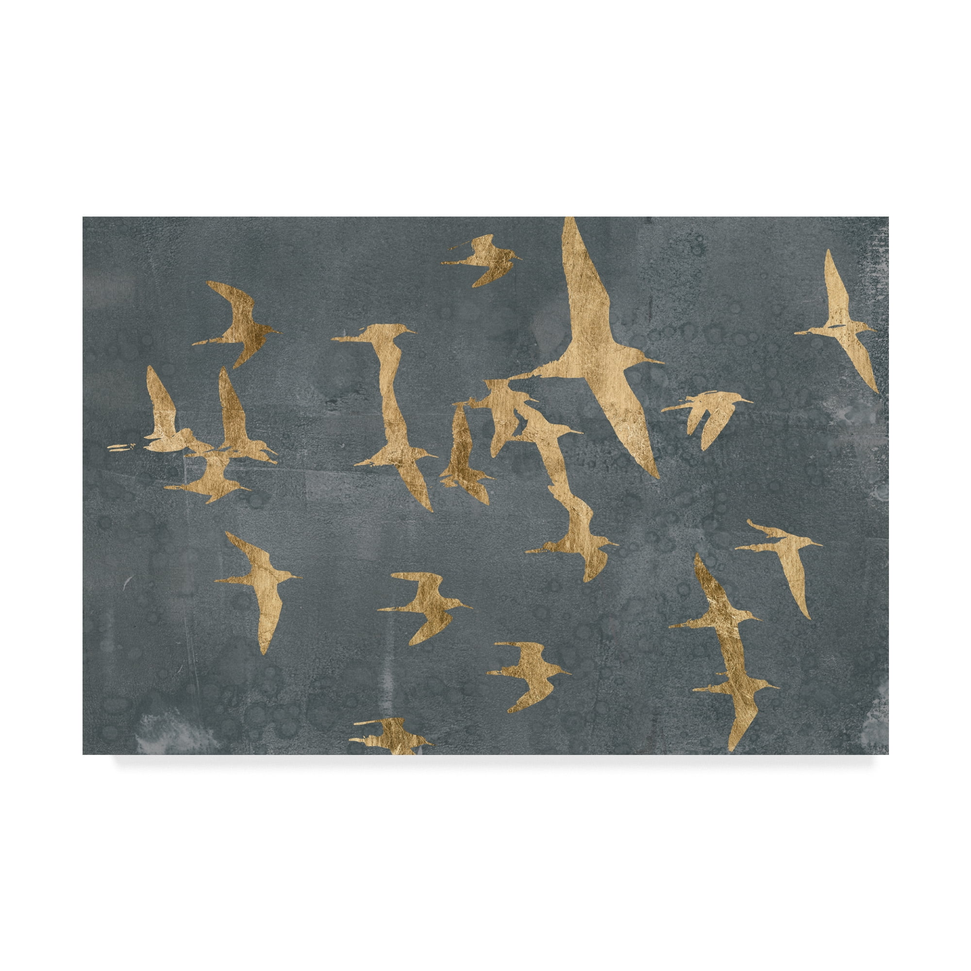 Trademark Fine Art 'Silhouettes in Flight IV' Canvas Art by Jennifer Goldberger